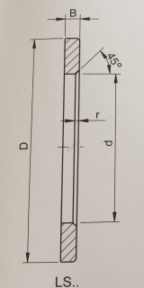 Axiálný krúžok LS 4060, INA